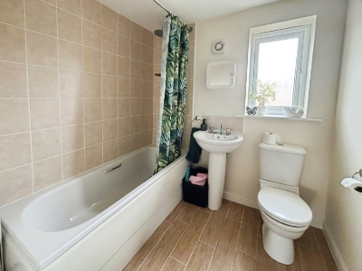 Picture 15